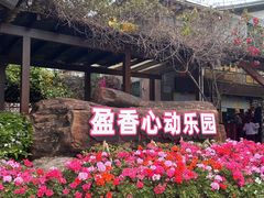 -盈香心动乐园