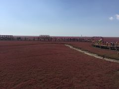 -红海滩国家风景廊道