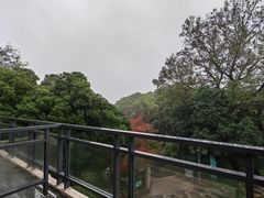 -上海市保健医疗中心