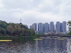 -重庆彩云湖湿地公园