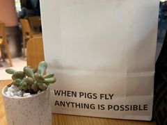 -WHEN PIGS FLY当猪飞