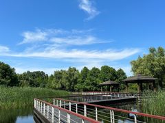 -同里国家湿地公园