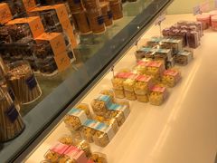 -蒲公英(五里店)