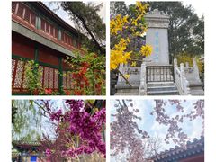 -北海公园