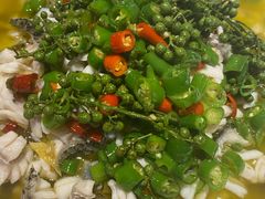 -三猫黑鱼花(南大店)