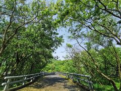 -西湖风景区-江洋畈生态公园