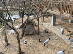 -无锡动物园·太湖欢乐园