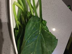 菠菜-海底捞火锅(方圆荟店)