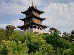 -迎泽公园