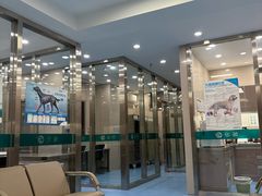 -万博宠物医院·手术·诊疗(未央凤城五路店)