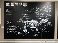 -大连美术馆