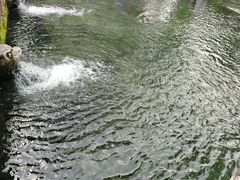 -环城公园