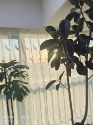 -HEYAN荷妍专业脱毛连锁机构