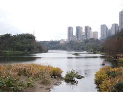 -重庆彩云湖湿地公园