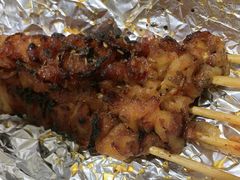 -海拉尔碳烤羊腿烤鸽子(吕营店)