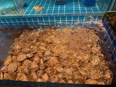 -焰江山海鲜牛排烤肉自助(锦华万达二星店)