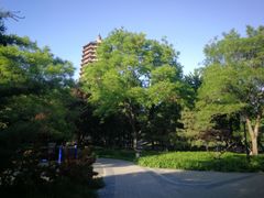 -玲珑塔公园