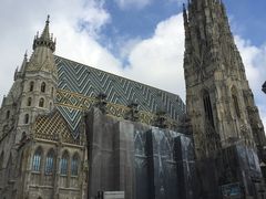 -斯蒂芬主教座堂(Stephansdom)