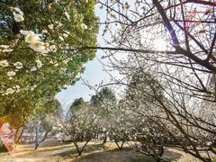 -三圣花乡旅游区