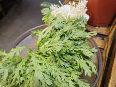 -南门四季铜锅涮肉(左家庄店)