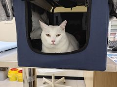 -爱诺耐芙动物医院(万博店)