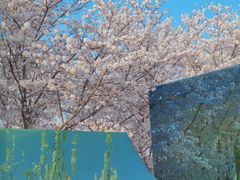 -龙美术馆(西岸馆)
