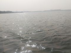 -金鸡湖桃花岛