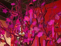 -长藤鬼校(观音桥店)