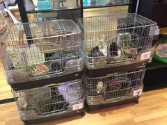 -藦茜花园宠物主题亲子互动体验馆(国顺东路店)