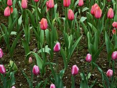 -重庆动物园·东二门售票处