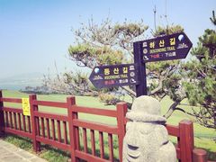 -涉地可支