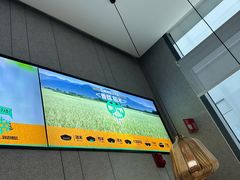 -大头椰·椰子鸡火锅(南宁万象城店)