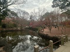 -秋霞圃