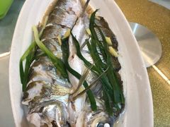 清蒸白鱼-观桥阁(锦溪店)