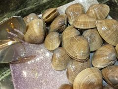 -泰白海鲜烧烤大全