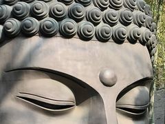 -杭州植物园