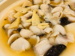酸汤龙利鱼-金春禧(世茂国际广场店)