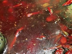 -一斗火锅·招财羊毛肚(上河城店)
