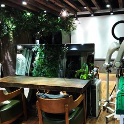 -V-STAR威斯达•高级私人定制