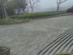 -龙坞茶村