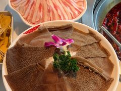 -小龙坎火锅(IFS HOT店)