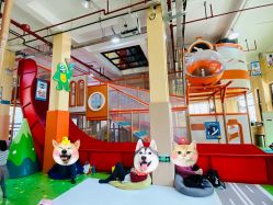 -动力星球家庭亲子游乐中心