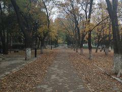 -山东大学(趵突泉校区)