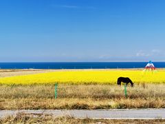 -青海湖国家重点风景名胜区