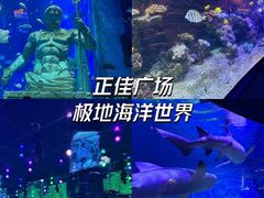 -正佳极地海洋世界