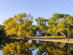 -上海共青森林公园