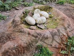 -湖南省地质博物馆