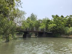 -溱湖国家湿地公园