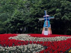 -上海共青森林公园