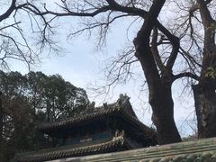 -北京国子监胡同